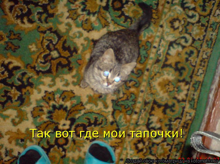 Котоматрица: Так вот где мои тапочки!