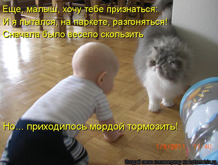 Котоматрица: Еще, малыш, хочу тебе признаться:  И я пытался, на паркете, разгоняться! Сначала было весело скользить Но... приходилось мордой тормозить!