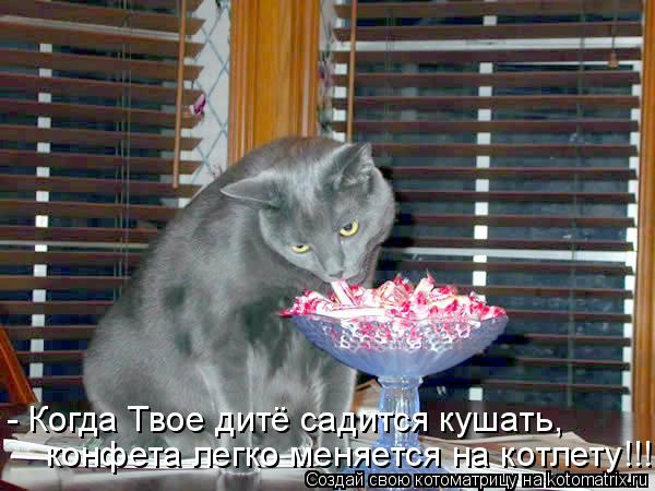 Котоматрица: конфета легко меняется на котлету!!! - Когда Твое дитё садится кушать,
