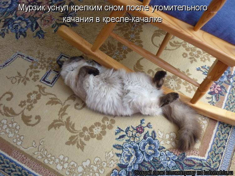 Котоматрица: Мурзик уснул крепким сном после утомительного  качания в кресле-качалке