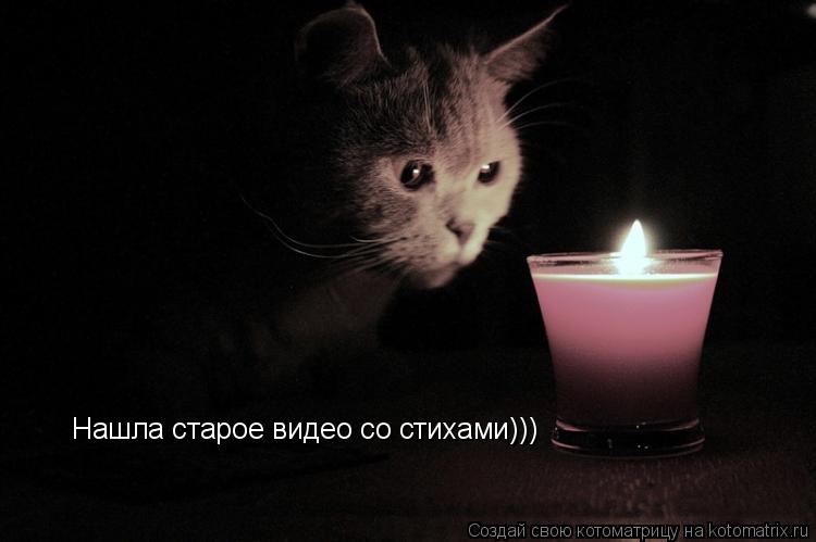 Котоматрица: Нашла старое видео со стихами)))