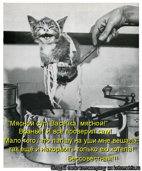Котоматрица: Враньё! Я всё проверил сам! "Мясной суп, Васечка, мясной!" Мало того, что лапшу на уши мне вешала, так ещё и накормить только ею хотела! Бессове