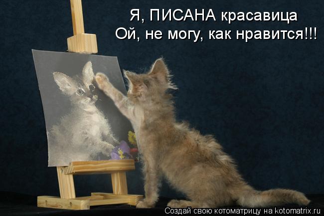 Котоматрица: Я, ПИСАНА красавица Ой, не могу, как нравится!!!