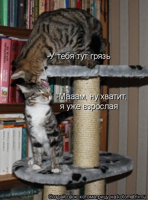 Котоматрица: -У тебя тут грязь -Мааам, ну хватит, я уже взрослая