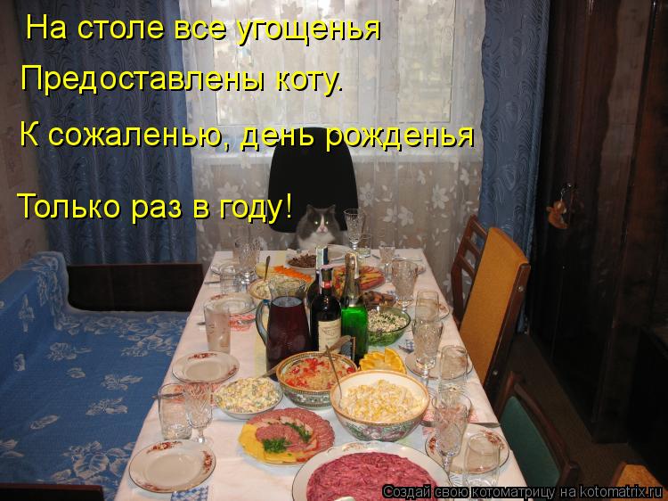 На столе все угощенья Предоставлены коту. К сожаленью, день рожденья Только раз в году!... Котоматрица: На столе все угощенья Предоставлены коту. К сожаленью, день рожденья Только раз в году!
