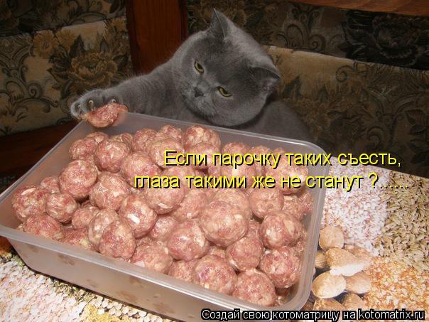 Котоматрица: Если парочку таких съесть, глаза такими же не станут ?......