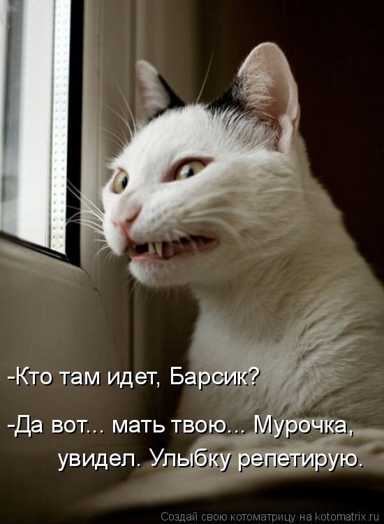 Котоматрица: -Кто там идет, Барсик? -Да вот... мать твою... Мурочка, увидел. Улыбку репетирую.