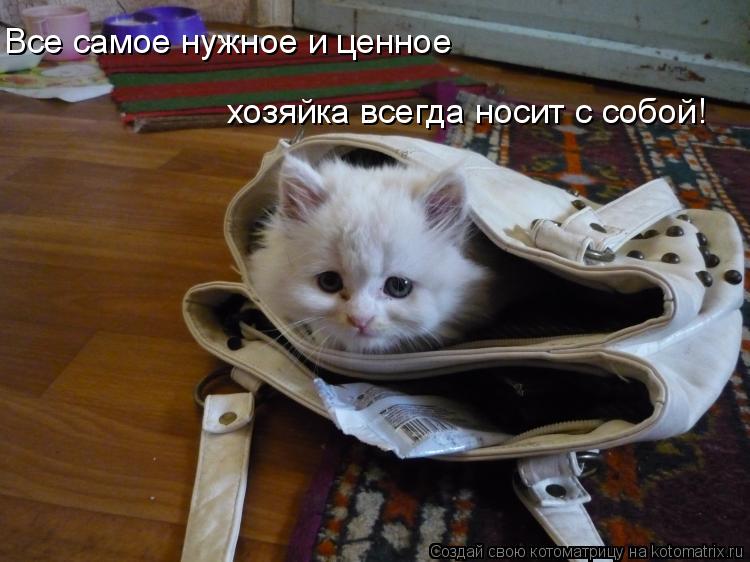 Котоматрица: Все самое нужное и ценное  хозяйка всегда носит с собой!