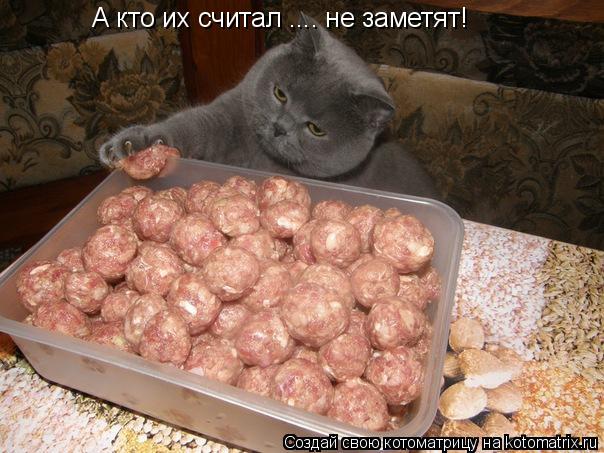 Котоматрица: А кто их считал .... не заметят!