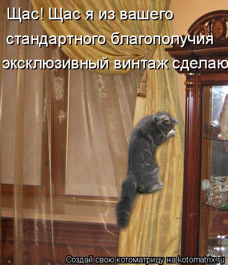 Котоматрица: Щас! Щас я из вашего  стандартного благополучия эксклюзивный винтаж сделаю