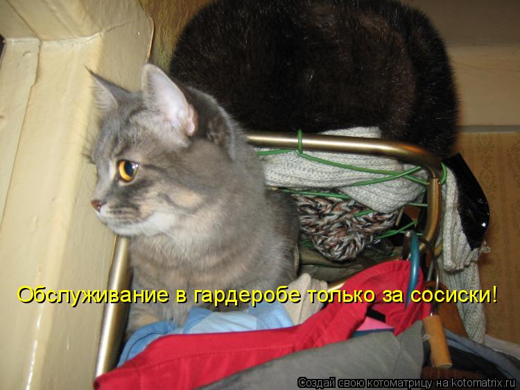 Котоматрица: Обслуживание в гардеробе только за сосиски!