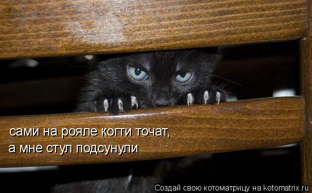 Котоматрица: сами на рояле когти точат, а мне стул подсунули