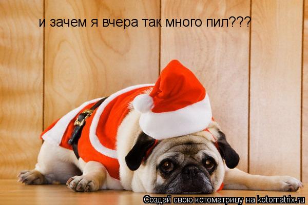 Котоматрица: и зачем я вчера так много пил???