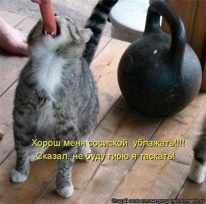 Котоматрица: Хорош меня сосиской  ублажать!!!! Сказал, не буду гирю я таскать!