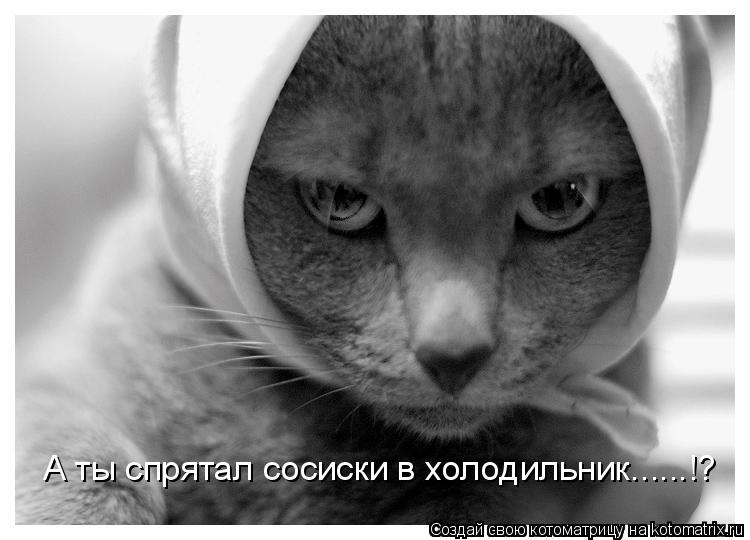 Котоматрица: А ты спрятал сосиски в холодильник......!?