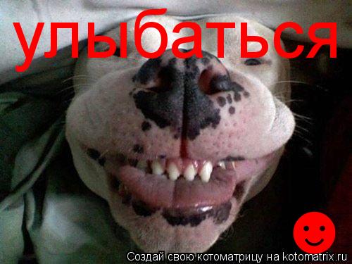 Котоматрица: улыбаться &#9787;