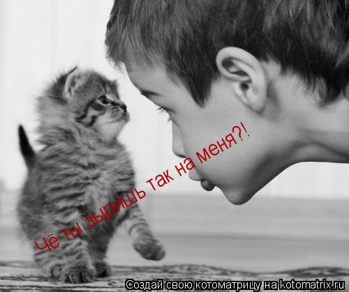 Котоматрица: Чё ты зыришь так на меня?!