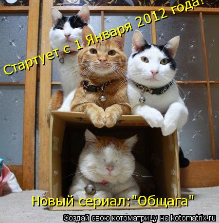 Котоматрица: Новый сериал:"Общага" Стартует с 1 Января 2012 года!