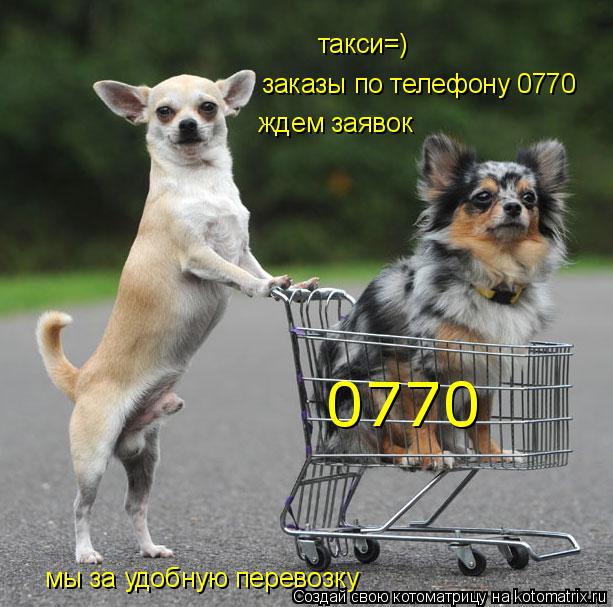 Котоматрица: такси=) ждем заявок мы за удобную перевозку 0770 заказы по телефону 0770