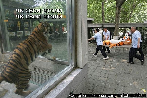 Котоматрица: чк свои чтоли чк свои чтоли