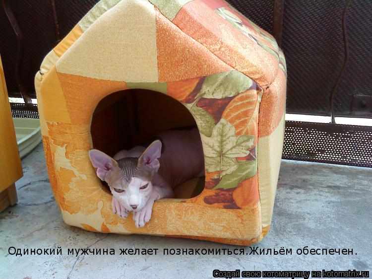 Котоматрица: Одинокий мужчина желает познакомиться.Жильём обеспечен.