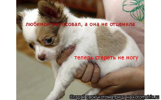 Котоматрица: любимой нарисовал, а она не отценила  теперь стереть не могу
