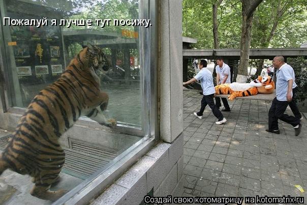 Котоматрица: Пожалуй я лучше тут посижу.