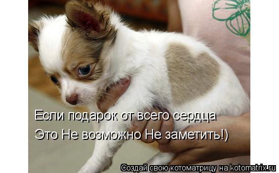 Котоматрица: Если подарок от всего сердца Это Не возможно Не заметить!)