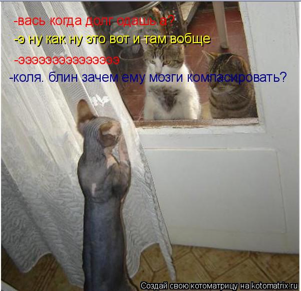-вась когда долг одашь а? -э ну как ну это вот и там вобще -эээээээээээээээ -коля. блин зачем ему м... Котоматрица: -вась когда долг одашь а? -э ну как ну это вот и там вобще -эээээээээээээээ -коля. блин зачем ему мозги компасировать?