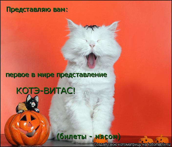 Представляю вам: первое в мире представление КОТЭ-ВИТАС! (билеты - мясом)... Котоматрица: Представляю вам: первое в мире представление КОТЭ-ВИТАС! (билеты - мясом)