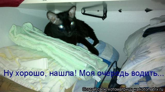 Ну хорошо, нашла! Моя очередь водить...... Котоматрица: Ну хорошо, нашла! Моя очередь водить...