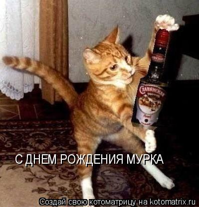 Котоматрица: С ДНЕМ РОЖДЕНИЯ МУРКА