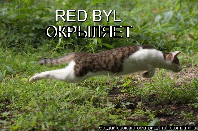 Котоматрица: RED BYL ОКРЫЛЯЕТ ОКРЫЛЯЕТ