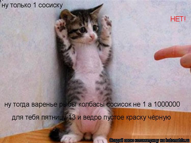 Котоматрица: ну только 1 сосиску НЕТ! ну тогда варенье рыбы колбасы сосисок не 1 а 1000000 для тебя пятницу 13 и ведро пустое краску чёрную  ну конечно да