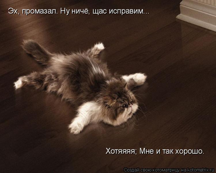 Эх, промазал. Ну ничё, щас исправим... Хотяяяя; Мне и так хорошо.... Котоматрица: Эх, промазал. Ну ничё, щас исправим... Хотяяяя; Мне и так хорошо.