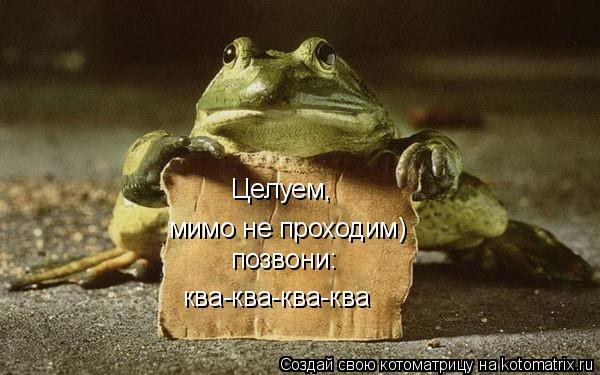 Целуем, мимо не проходим) позвони: ква-ква-ква-ква... Котоматрица: Целуем, мимо не проходим) позвони: ква-ква-ква-ква