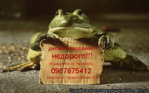 делаю бородавки!!! недорого!!! обращатся по телефону 0987675412 результат гарантирован!!!!!... Котоматрица: делаю бородавки!!! недорого!!! обращатся по телефону 0987675412 результат гарантирован!!!!!