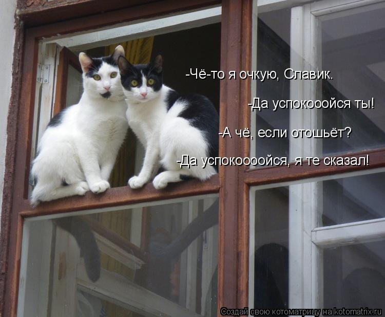 -Чё-то я очкую, Славик. -Да успокооойся ты! -А чё, если отошьёт? -Да успокоооойся, я те сказал!... Котоматрица: -Чё-то я очкую, Славик. -Да успокооойся ты! -А чё, если отошьёт? -Да успокоооойся, я те сказал!