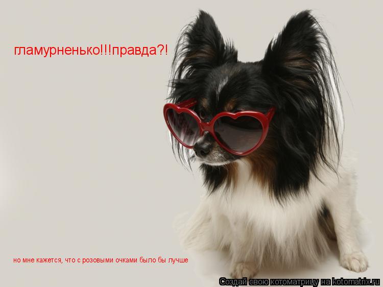 гламурненько!!!правда?! но мне кажется, что с розовыми очками было бы лучше... Котоматрица: гламурненько!!!правда?! но мне кажется, что с розовыми очками было бы лучше