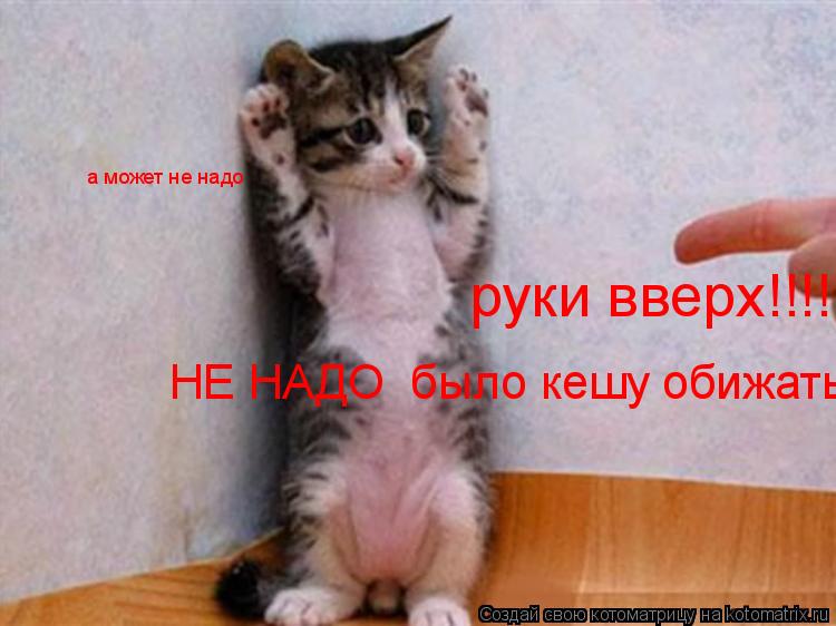 руки вверх!!!! а может не надо НЕ НАДО было кешу обижать... Котоматрица: руки вверх!!!! а может не надо НЕ НАДО было кешу обижать
