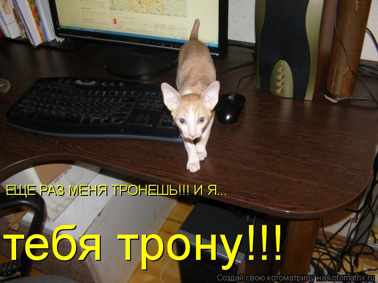 EЩЕ РАЗ МЕНЯ ТРОНЕШЬ!!! И Я... тебя трону!!!... Котоматрица: EЩЕ РАЗ МЕНЯ ТРОНЕШЬ!!! И Я... тебя трону!!!