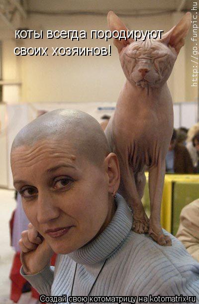 коты всегда породируют своих хозяинов!... Котоматрица: коты всегда породируют своих хозяинов!