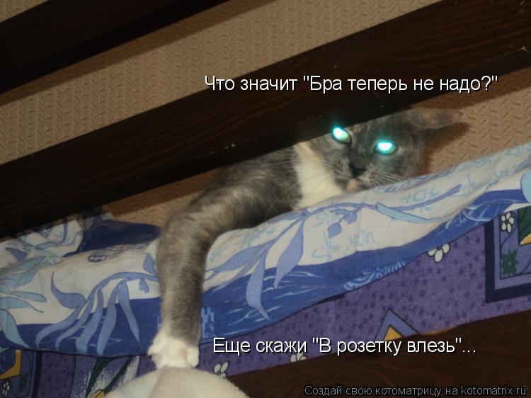 Что значит "Бра теперь не надо?" Еще скажи "В розетку влезь"...... Котоматрица: Что значит "Бра теперь не надо?" Еще скажи "В розетку влезь"...