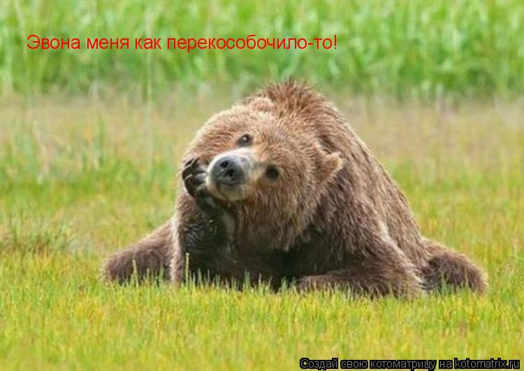 Эвона меня как перекособочило-то!... Котоматрица: Эвона меня как перекособочило-то!