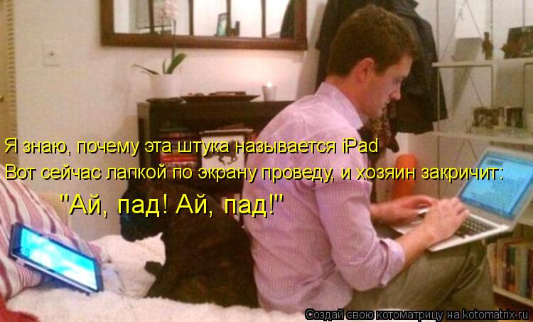 Я знаю, почему эта штука называется iPad Вот сейчас лапкой по экрану проведу, и хозяин закричит: "Ай,... Котоматрица: Я знаю, почему эта штука называется iPad Вот сейчас лапкой по экрану проведу, и хозяин закричит: "Ай, пад! Ай, пад!"