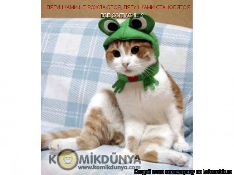 ЛЯГУШКАМИ НЕ РОЖДАЮТСЯ, ЛЯГУШКАМИ СТАНОВЯТСЯ ВСЕ СОГЛАСНЫ ?... Котоматрица: ЛЯГУШКАМИ НЕ РОЖДАЮТСЯ, ЛЯГУШКАМИ СТАНОВЯТСЯ ВСЕ СОГЛАСНЫ ?