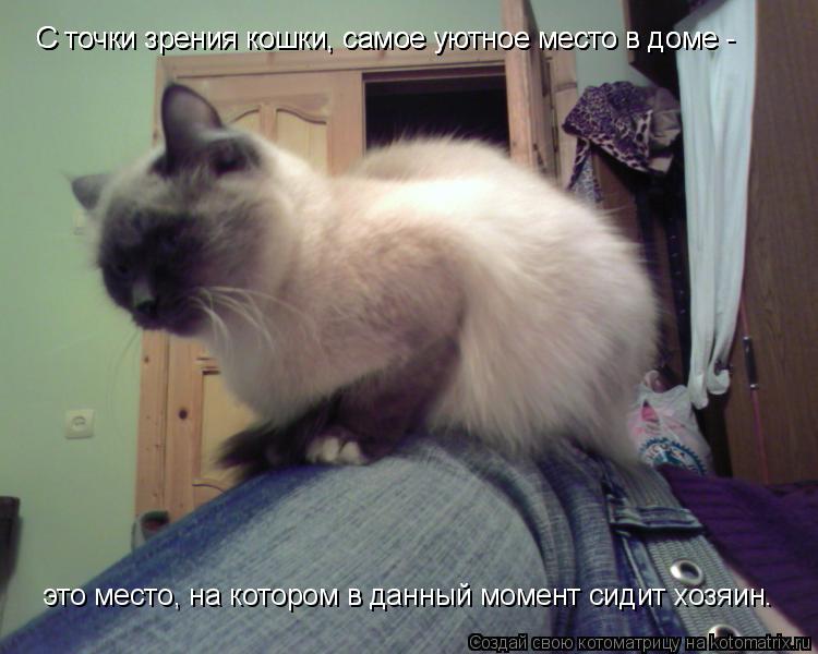 С точки зрения кошки, самое уютное место в доме - С точки зрения кошки, самое уютное место в доме -... Котоматрица: С точки зрения кошки, самое уютное место в доме - С точки зрения кошки, самое уютное место в доме - это место, на котором в данный момент сид