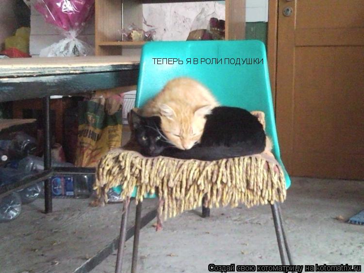 ТЕПЕРЬ Я В РОЛИ ПОДУШКИ... Котоматрица: ТЕПЕРЬ Я В РОЛИ ПОДУШКИ