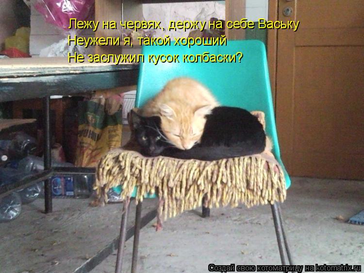 Лежу на червях, держу на себе Ваську Неужели я, такой хороший Не заслужил кусок колбаски?... Котоматрица: Лежу на червях, держу на себе Ваську Неужели я, такой хороший Не заслужил кусок колбаски?