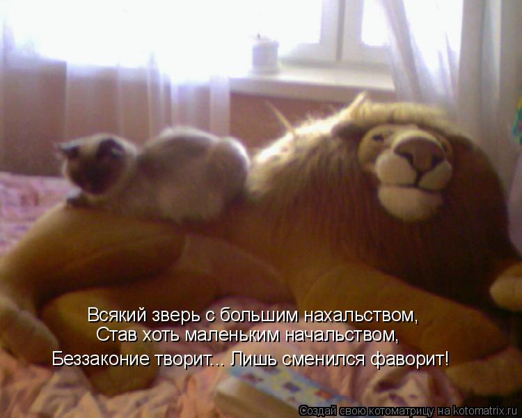 Всякий зверь с большим нахальством, Став хоть маленьким начальством, Беззаконие творит... Лишь смен... Котоматрица: Всякий зверь с большим нахальством, Став хоть маленьким начальством, Беззаконие творит... Лишь сменился фаворит!